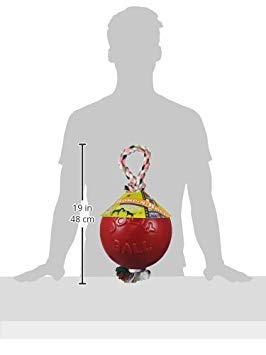 Jolly Pets Romp-n-Roll Rope and Ball Dog Toy, 8 Inches/Large, Red (608 RD) - color: Red, size: Large (8 in)