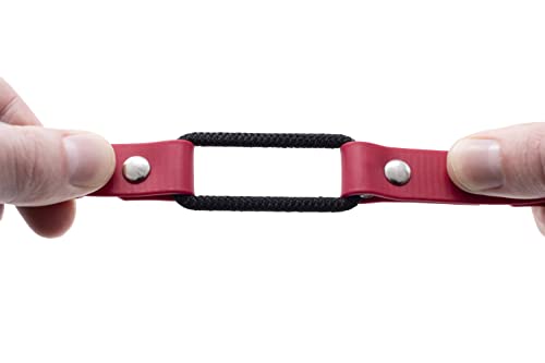 Educator 3/4-Inch Dog Training Collar Strap–ONLY Fits ME-300, ET-300/400, EZ-900, PE-900 & PG-300 Receivers – NOT Compatible with FE-580, ET-800 or UL-1200–Quick Snap Biothane Bungee Collar, Red - color: Red