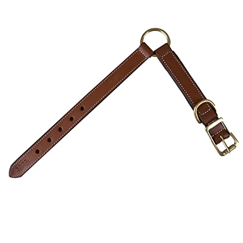 | Genuine Leather Adventure Dog Collar | Full Grain, Heavy Duty | With inner Cushioned padding | Best for Medium, Large & XL Dog (Medium (Fit Neck Size 14.5"-18.5"), Brown With Center O Ring) - color: Brown With Center O Ring, size: M (Fit Neck Size 14.5"