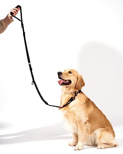 Shock Absorbing Tactical Bungee Dog Leash 4-7 ft. for Large Dogs with Seatbelt Buckle and Comfortable Padded Handle, Highly Reflective Extendable Heavy Duty Stretch Leash for Dog Owners (Black)