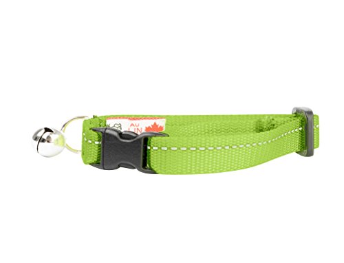 RC Pet Products Primary Collection Kitty Breakaway Collar, Lime, 1/2" - color: Lime