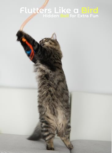Cat Wand Toy 3 Pack for Cats and Kittens, Feather Wand Cat Teaser with Mesh Tube, Bell and Pom Pom, Interactive Fishing Pole Toy for Indoor Cats