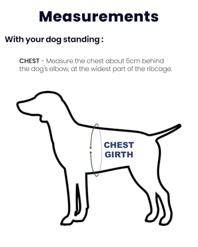 Non-Restrictive Dog Harness, Easy Walk Freedom No Pull Harness, Keep Balance, Neck-Buckle, Six Points Adjustment, 2 Leash Clips for Back and Front Clip (Red/Black, X-Small) - color: Red/Black, size: XS