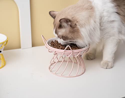 Raised Pet Food and Water Bowl, Cat and Small Dog Bowl, Tilted Ceramic Cat Water Bowl No Spill,15oz, Dishwasher Safe - color: Pink