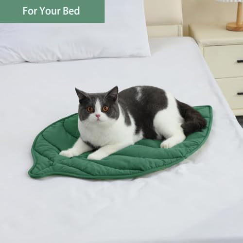 Letalong 30 X 20 Inch Leaf Shaped Cotton Cat Bed Pad, Warming Cat Mat, Pet Warming Pad for Cats, Warmer Mat for Feral and Indoor Cats, 2025 Enlarged and Thickened Leaf Beds - color: Green-02