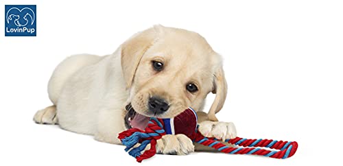 Dog Rope Toy with Tennis Ball (11”) – Strong Tug Toys for Dogs for Interactive Play & Bonding – Non-Abrasive Felt Dog Tennis Balls w/Rope for Puppies & Moderate Chewers – 1-Pack Red - size: 1 Rope Dog Toy Red Ball FBA