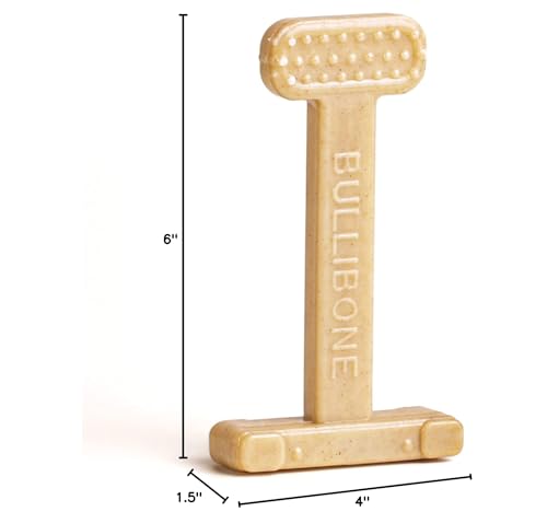 Bullibone Nylon Dog Chew Toy for Aggressive Chewers - Dental Hygiene Bone with Peanut Butter Flavor, Durable Tough Chew Toys for Small Dogs, Indestructible Dog Bone - Single - size: Small - Single
