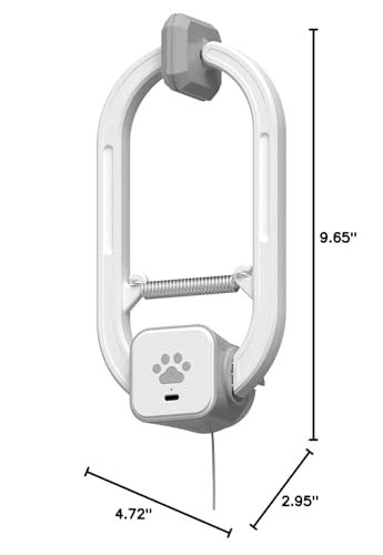 Interactive Cat Toy, Rechargeable Electric Cat Teaser, Hanging Door cat Toy, 2 Motion Modes (360° Spin & Irregular Jumping), Smart Auto Cat Toy for Exercise & Fun, Grey - color: Grey