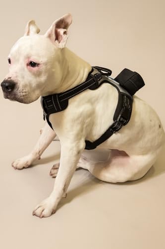 5-in-1 Reflective Dog Harness with Built-in 5ft Leash & Seatbelt Clip, Waste-Bag Pouch + 3 Rolls, Adjustable Quick-Fit Buckles, Breathable Mesh, Dual D-Rings, Medium - size: Medium