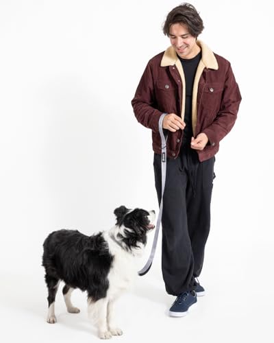 Fei & Eve Classic Dog Leash - 6FT, Dual Padded Handles, 360° Swivel Hook, Heavy Duty 210D Nylon - No-Pull Design with Traffic Control Handle - for Small/Medium/Large Dogs, Gray - color: Twilight Gray, size: 6FT