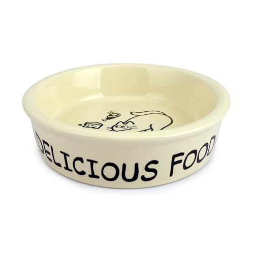 TTcat Ceramic Cat Feeder, 5.1in Shallow Design Food Bowl, Small Pet Dishes for Cats, Kitten, Dishwasher Safe - color: Cartoon Bowl