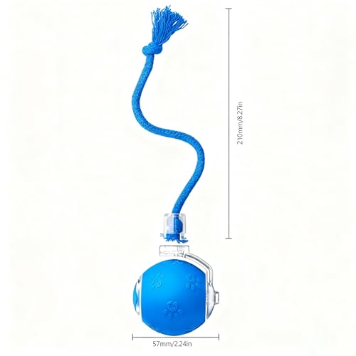 FUNNYDUCK Speed 2.0 Tail Interactive Cat Toys for Indoor Cats – Smart Motion-Activated Rolling Ball with Tail, Chirping Sounds, and USB Rechargeable Design for Enrichment & Exercise - color: Blue tail