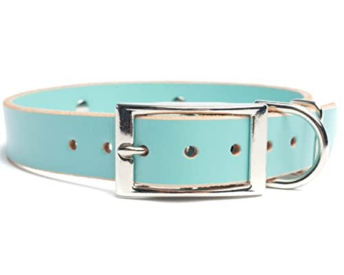 Handmade Studded Bridle Leather Dog Collar, Silver Tone Hardware and Stainless Steel Nameplate (Robin's Egg Blue) - color: Robin's Egg Blue