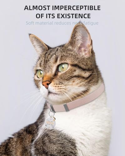 Cat Collar with Bell, Stretch Elastic Quick Release, Non Breakaway Lightweight Kitten Collar for Girl Boy Cats, Pet Supplies,Gifts,Accessories, Light Brown - color: Light Brown