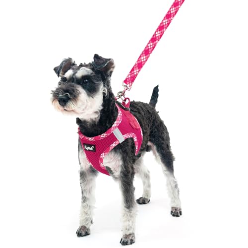 PUPTECK Dog Harness and Leash Set for Small Medium Dogs No Pull Step-in Soft Mesh Puppy Cat Vest Harnesses Reflective at Night, Fuchsia, S - color: #1 Fuchisa(Basic Mesh), size: S(CHEST 14.5"-16", 6.6-14 lbs)