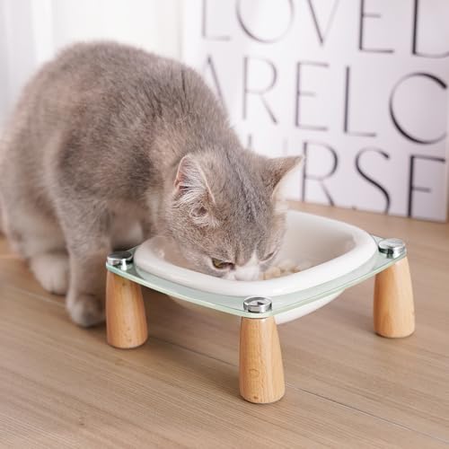 Elevated Cat Bowl and Dog Bowl, Ceramic Raised Pet Bowl with Acrylic & Wood Stand, Non-Slip, 13.5 OZ, for Cats & Small Dogs