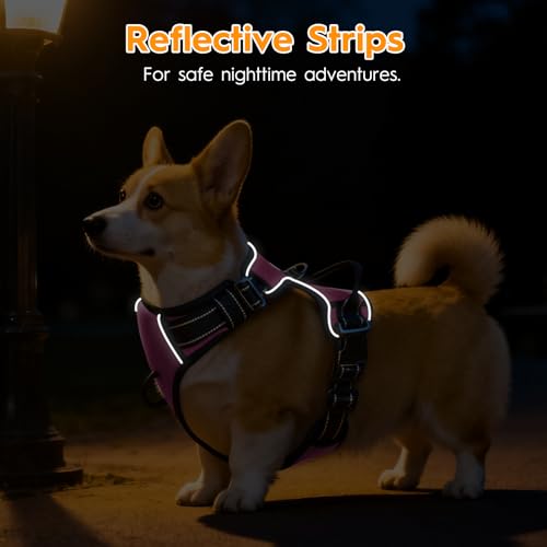 No Pull Dog Harness, No Chock Reflective Adjustable Soft Padded Pet Vest with Easy Control Handle, Easy Wearing with Stylish, Reinforced Knot, 2 Buckles - color: Midnight Pink, size: X-Small