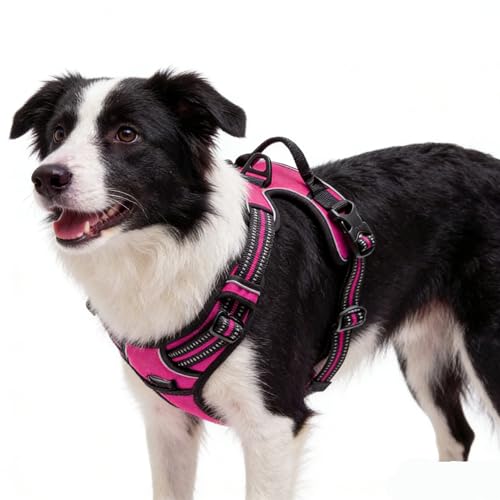 Hot Pink No-Pull Dog Harness with 2 Leash Clips,Soft Padded Vest for Small Dog, Adjustable Reflective Dog Vest Easy to Put on and Take Off,(Neck: 13"~17", Chest: 17"~21",Hot Pink Small) - color: Hot Pink, size: Small