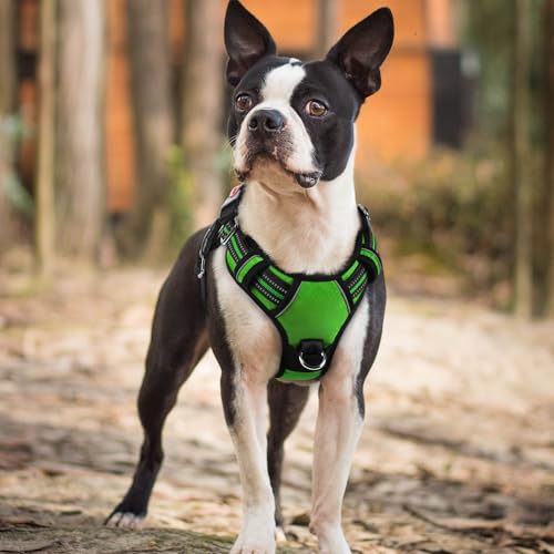 rabbitgoo Dog Harness Small Sized, No Pull Dog Vest with 3 Buckles, Adjustable Soft Padded Pet Harness with Easy Control Handle and Reflective Strips, Green, S - color: Green, size: Small