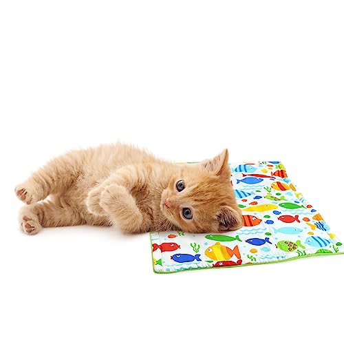 tinkare Refillable Catnip Cat Mat Kitty Comfortable Resting Place