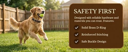 XanYu Premium Genuine Leather Dog Collar – Adjustable Heavy Duty Pet Collar with Sturdy Brass Buckle, Soft Padded & Stylish for Puppy and Small, Medium, Large Dogs (Brown)