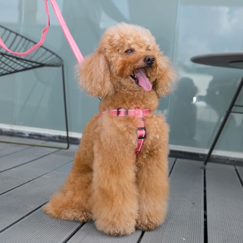 EXCELLENT ELITE SPANKER No Pull Dog Harness Adjustable Nylon Step-in Easy Pet Vest Chest Strap with Reflective and Leash Ring for Small Medium Large Breed Dogs Training Walking(Red-M) - color: Red, size: M
