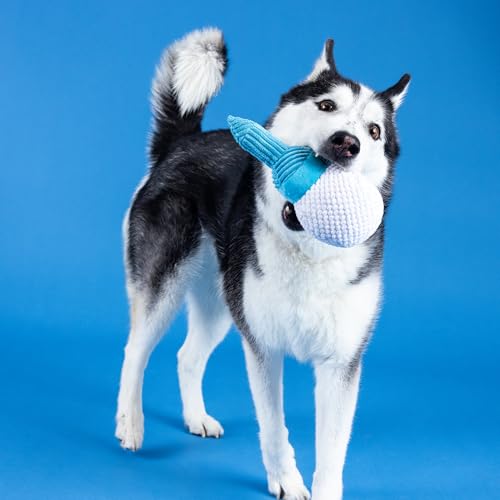 Fringe Studio Plush Dog Toy, Today is TEE-RIFFIC, Pet Shop Collection (314241) - color: Today Is Tee-Riffic