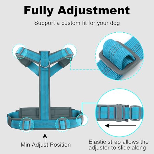 Plutus Pet No Pull Dog Harness, Adjustable Nylon Harness with Soft Padding, Reflective and Heavy Duty Dog Harness for Small, Medium, Large Dogs(Cyan, XS) - color: Cyan, size: XS