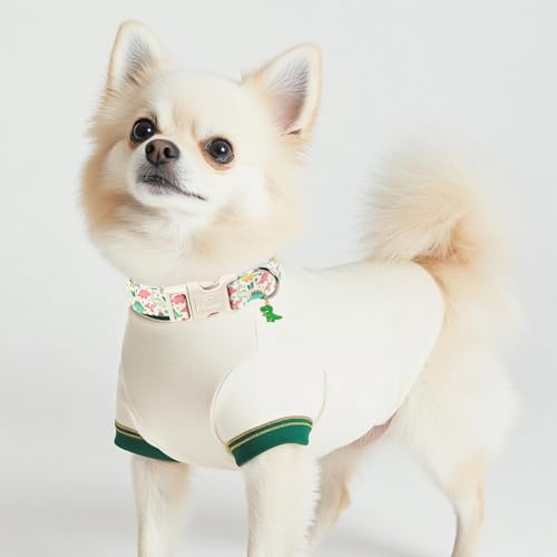 Dinosaur Dog Collar Cute Boy Dog Collars for Puppy Small Dogs - Lightweight Adjustable Cartoon Design Male Female Dogs Everyday Collar with Safety Buckle XS - color: Cute Dino, size: XS
