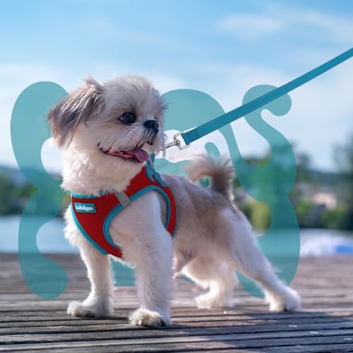 rabbitgoo Dog Harness Small Sized and Leash Set, Step-in Breathable Pet Harness, Soft Walking Reflective Puppy Vest for Small Dogs, Red & Teal, XXS - color: Red & Teal, size: XXS (Chest: 12.4 - 14.2")