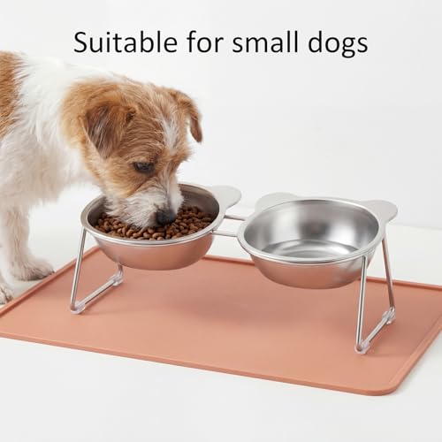 Stainless Elevated cat Bowls 5.9 Inch with Metal Stand Slip Resistant Base 15 Degrees Tilted Raised Pet Dishes Double Bowl Design Food and Water Dish for Cats Kitten Small Dog (Integrated Bowls) - color: Integrated Bowls