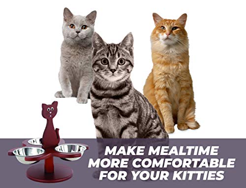 Etna Pet Store Elevated Cat Bowls - Wooden, Raised Pet Feeder Promotes Better Digestion, Easy on Joints - Multiple Feeder with 3 Removable Bowls for Food and Water - Brown