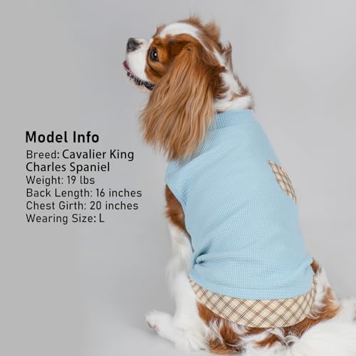 KYEESE Waffle Dog Shirt, Blue, L-Chest(18), Soft Stretchy, Lightweight, Breathable, Sleeveless, Plaid Patchwork, Small Breeds, Round Neck - color: 2#Blue, size: Large (12-18lbs)