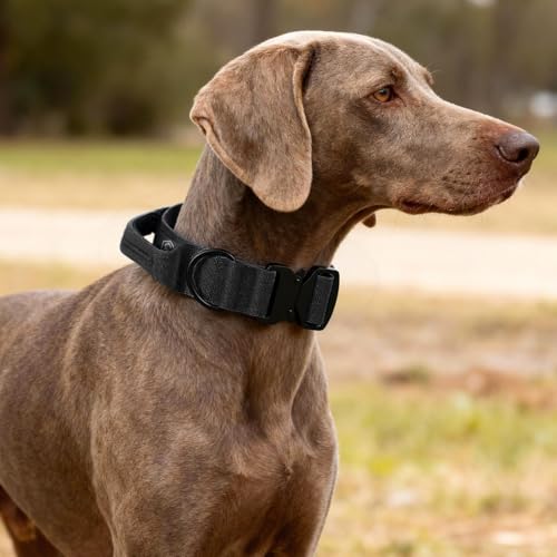Tactical Thick Dog Collar, Adjustable Training Nylon Dog Collar, Heavy Duty Metal Buckle & Control Handle for Small Medium Large Dogs (M, Black) - color: Black, size: M