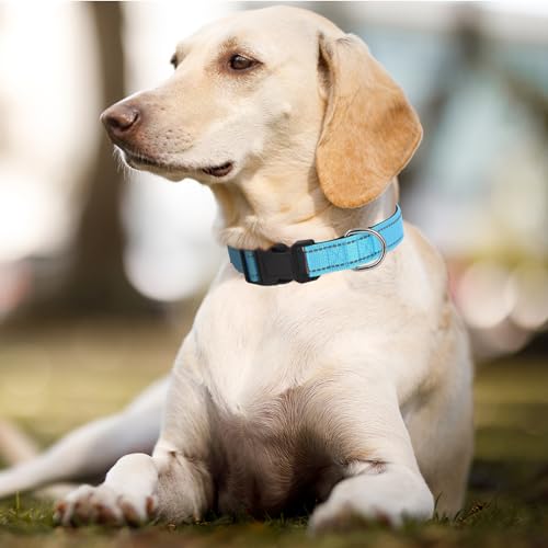 Dog Collars Adjustable for Puppy and Small Dogs, Heavy Duty Waterproof with Quick Release Buckle, Reflective Nylon Collar with Soft Neoprene Padded, XS, Sky Blue - color: Sky Blue, size: X-Small