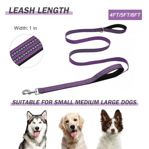 Hikiko 4FT Purple Dog Leash with Dual Handles Heavy Duty Reflective Strong Dog Leash for Walking and Training - color: Purple, size: 1 in x 4 ft