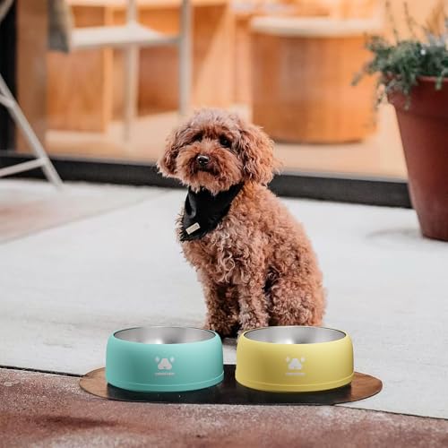 PAWGETHERยฎ Stainless Steel Dog Bowls, Dog Food and Water Bowl Non-Slip Easy to Clean Dishwasher Safe for Puppy Small Medium Dogs Cats White 34oz - color: White (34oz)