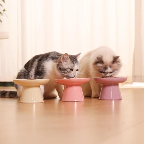 Wide Shallow 6.1" Raised Cat Bowls, Ceramic Elevated Food Plate for Flat Faced Cats and Small Dogs, Porcelain Feeder Bowl, Stress Free, Protect Cat’s Spine, Cream - color: Cream-Shallow