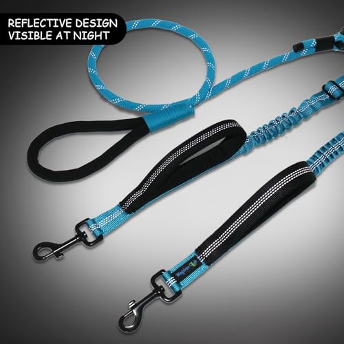 Double Dog Leash No Tangle – Dual Dog Leash for 2 Dogs with Shock Absorbing Bungee, 360° Swivel, Reflective Safety, Heavy Duty for Medium & Large Dogs (Bright Blue) - color: Bright Blue