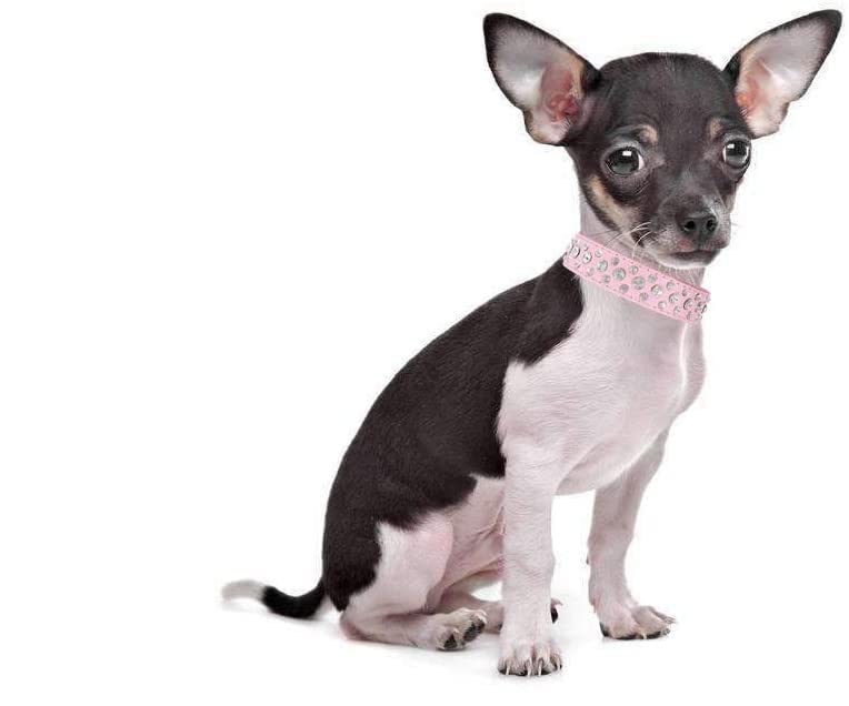 Rhinestone Dog Collar, Bling Rhinestone PU Leather Crystal Diamond Pet Dog Cat Puppy Collar Black S M L XL (XS, Light Blue) - color: Light Blue, size: XS