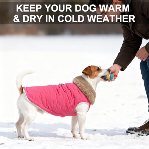 BEAUTYZOO Winter Dog Vest Coat with Harness Built in, Warm Puppy Jacket for Small Medium Dogs, Lightweight Cold Weather Small Dog Coat, Fleece Puffer Vest Windproof Snowproof Pet Clothes, Rose Pink - color: Rose Pink, size: M (Back: 15",Chest: 21")