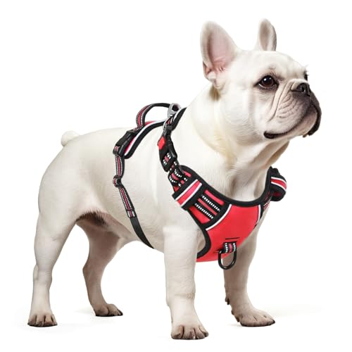 Dog Harness Small Sized, No Pull with Neck Lockable Snap,No Choke Front Clip Dog Reflective Harness,Adjustable Metal Rings 3 Buckles,Easy Control Handle for Small Dogs Red S - color: Lock Red, size: Small (Pack of 1)