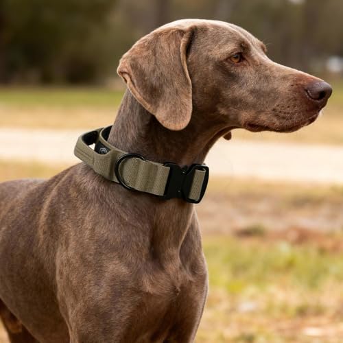 Tactical Thick Dog Collar, Adjustable Training Nylon Dog Collar, Heavy Duty Metal Buckle & Control Handle for Small Medium Large Dogs (L, Khaki) - color: Khaki, size: L