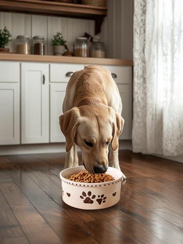 Ceramic Dog Bowl 55oz Heavy Duty Pet Food and Water Bowl for Medium Large Dogs Non Slip Weighted Dog Dish with Paw Print and Heart Design Easy to Clean - color: White-Paw