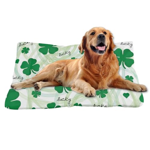 Cozy Dog Pads with Anti-Slip Bottom, St Patricks Day Leaves Dog Necessities Puppy Pads Beds for Crates Comfy Pet Mat for Indoor& Outdoor Sofa Cars, Machine Washable 24 X 18 Inch - size: 24 × 18 inch