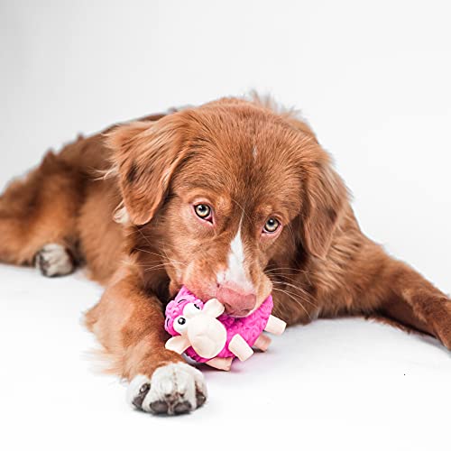 Outward Hound Tootiez Sheep Grunting Latex Rubber Dog Toy, Small - color: Pink, style: Grunt Sound