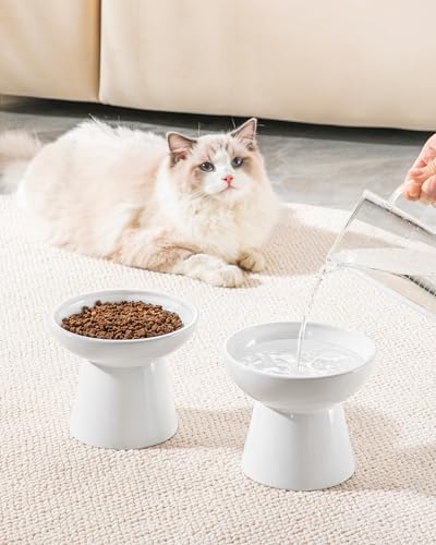 vancasso Elevated Cat Bowls 2-Pack, Ceramic Raised Cat Food and Water Dishes with 5.1" Height & 6.2" Wide Opening - Anti Vomit, Whisker Fatigue Relief for Senior Cats, and Small Dogs (White) - color: White
