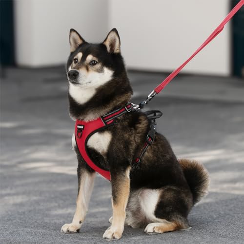 Voyager Dog Harness Dual Leash Attachment No-Pull Control Adjustable Soft but Strong Pet Harness for Medium and Large Dogs with 3M Reflective Technology, Leash Set Red Nylon, S (Chest: 16-20") - color: Leash Set Red Nylon, size: S (Chest: 16 - 20")