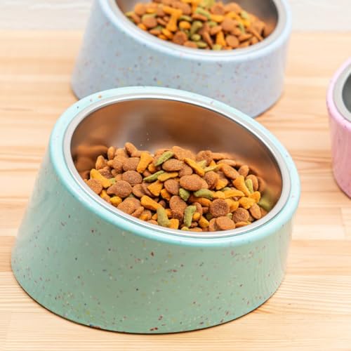 bzyoo 16oz Tilted Dog Bowl for Small Dogs & Cats, 15° Elevated Stainless Steel Pet Feeder, Ergonomic Anti-Vomiting Food Bowl for Frenchie, Pug, Persian Cat, Non-Skid Melamine Stand, Sprinkle (Green) - color: Green