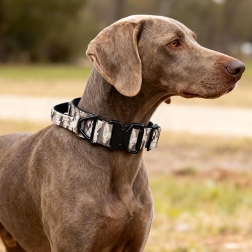 Tactical Dog Collar, Adjustable Military Collar with Handle and Heavy Duty Metal Buckle, Thick Dog Collars for Medium and Large Dogs (Khaki Camouflage, L) - color: Khaki-Camo, size: L